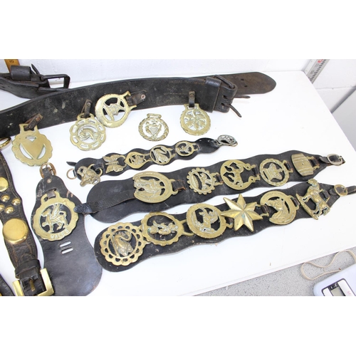 1804 - A qty of antique and later horse brasses, some on leather straps