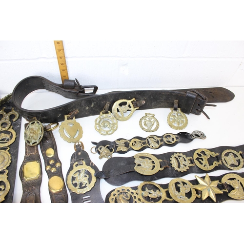 1804 - A qty of antique and later horse brasses, some on leather straps