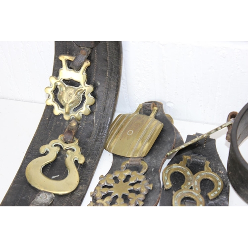 1804 - A qty of antique and later horse brasses, some on leather straps