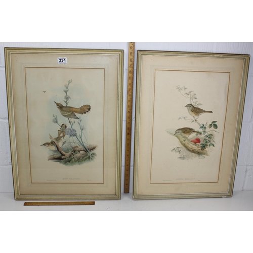 334 - Gould, John and H. C. Richter. 2 hand-coloured lithographs of Exotic birds