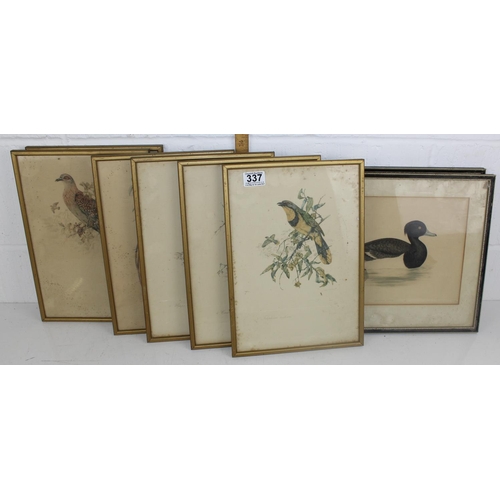 337 - A set of 6 prints of Exotic birds after Dick Findlay and a pair of antique Duck prints