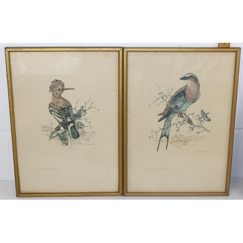 337 - A set of 6 prints of Exotic birds after Dick Findlay and a pair of antique Duck prints