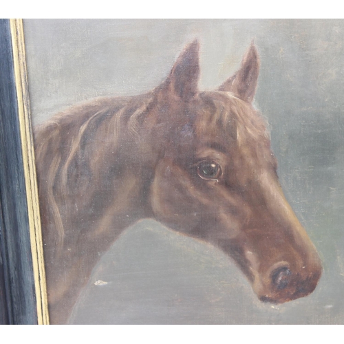 357 - Large antique framed oil on canvas – two horse heads