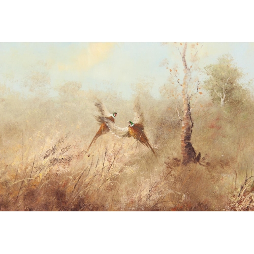 374 - B. Norton - A 20th century oil on canvas of Pheasants in a marshland