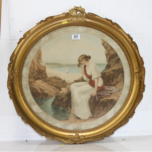 Lot 351       