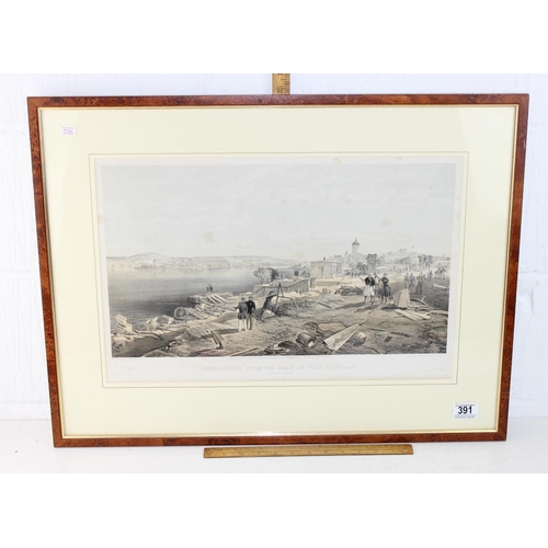 Lot 391       