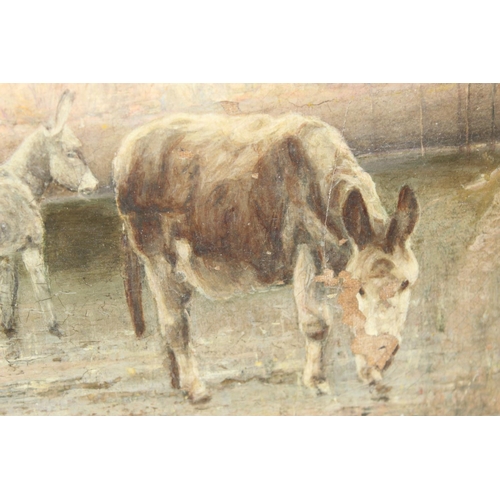 343 - Antique relaid oil on canvas of Donkeys in marshland - indistinctly signed lower right G.G. Ciapelli... 