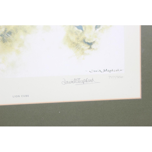 376 - David Shepherd - 2 signed limited edition prints - Tiger Cubs & Lion Cubs