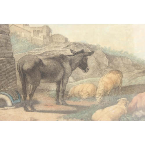 393 - 19th century steel engraving depicting farm animals with hand colouring