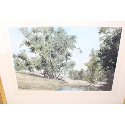 307 - B Witham (XX/XXI) - A large gilt framed watercolour of a woodland stream