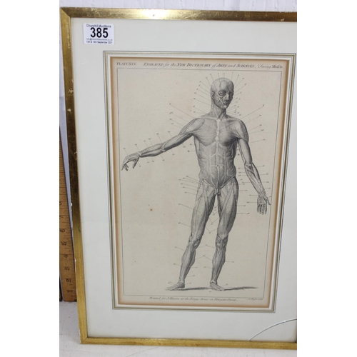 385 - 5 antique and later prints to inc Anatomical prints