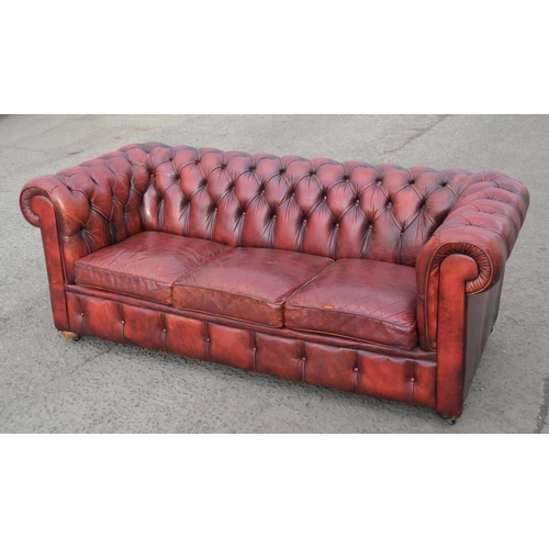 14 - An Ox Blood Red leather Chesterfield button back sofa