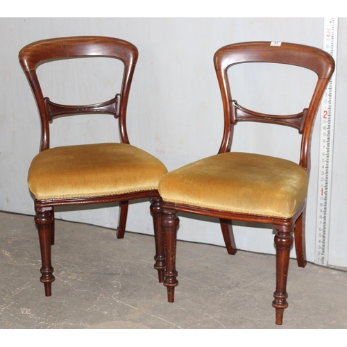 45 - A pair of Victorian Mahogany balloon back chairs with stuffed seats