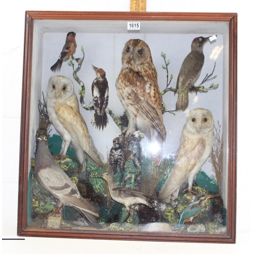 1615 - An antique taxidermy diorama in wooden case depicting various British birds to inc Tawny Owl, Barn O... 