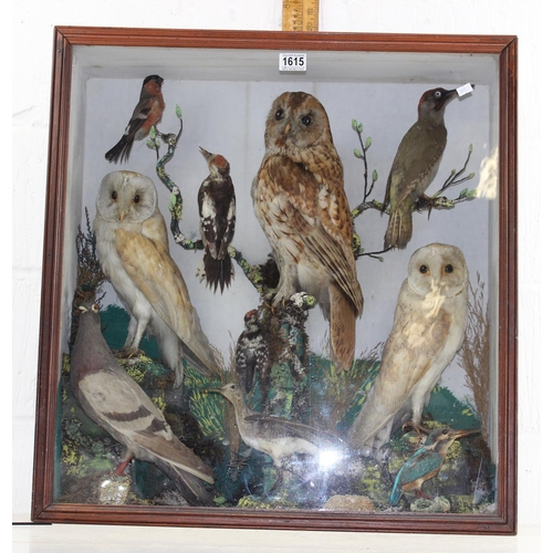 1615 - An antique taxidermy diorama in wooden case depicting various British birds to inc Tawny Owl, Barn O... 