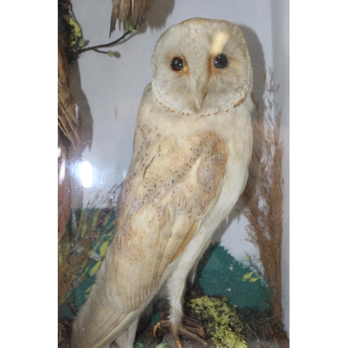 1615 - An antique taxidermy diorama in wooden case depicting various British birds to inc Tawny Owl, Barn O... 