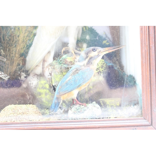 1615 - An antique taxidermy diorama in wooden case depicting various British birds to inc Tawny Owl, Barn O... 