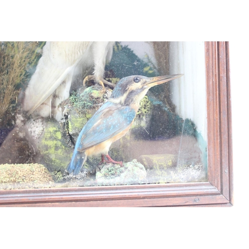 1615 - An antique taxidermy diorama in wooden case depicting various British birds to inc Tawny Owl, Barn O... 