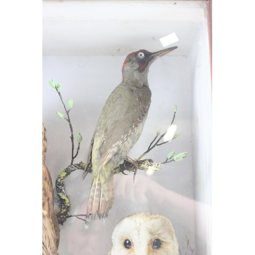 1615 - An antique taxidermy diorama in wooden case depicting various British birds to inc Tawny Owl, Barn O... 