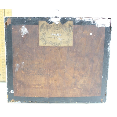 1616 - An antique cased taxidermy Starling in painted wooden case, label verso for T. Harbor of Reading