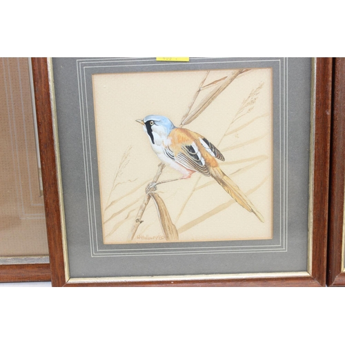 466 - Leonard. A. Holloway (XX) 5 original watercolours of birds, Sussex artist