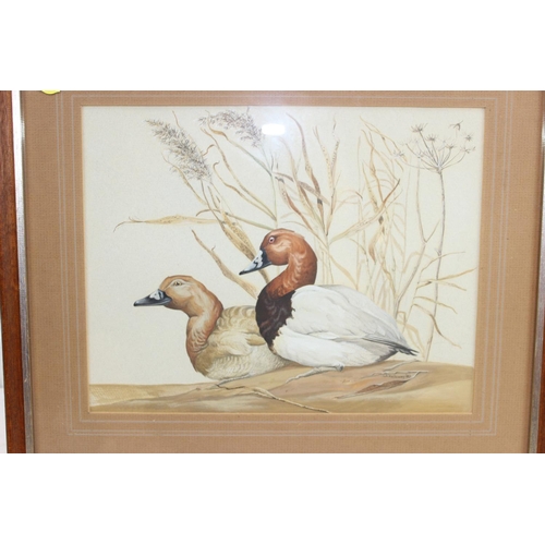 466 - Leonard. A. Holloway (XX) 5 original watercolours of birds, Sussex artist