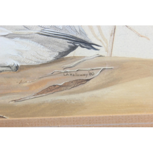 466 - Leonard. A. Holloway (XX) 5 original watercolours of birds, Sussex artist