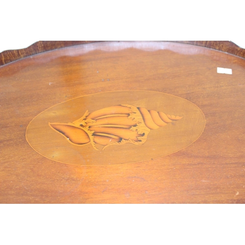 276 - An Edwardian mahogany serving tray with Sheraton style shell inlay