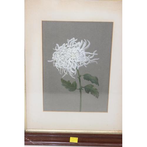 549I - A pair of early 20th century floral watercolour in oak frames, unsigned