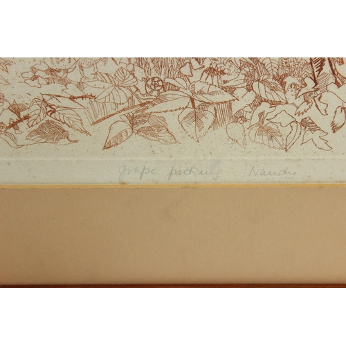 468A - Michael Stokoe etching of a vinyard scene, hand signed lower right