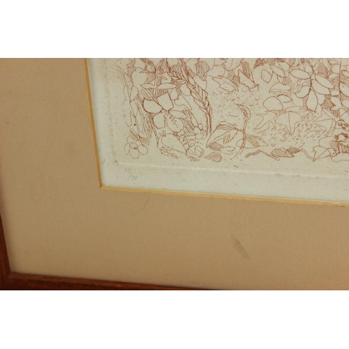 468A - Michael Stokoe etching of a vinyard scene, hand signed lower right