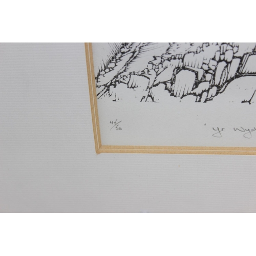 478 - Limited edition engraving of Crib Goch, numbered 45/50 and indistinctly signed, Al Abbar Dubai galle... 