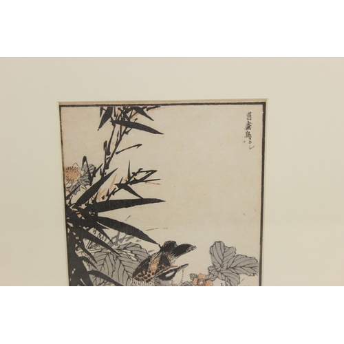 481 - Believed to by Kono Bairei (1844-1895), a pair of Japanese 19th century woodblock prints of birds an... 