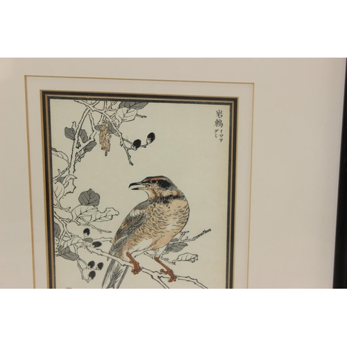 481 - Believed to by Kono Bairei (1844-1895), a pair of Japanese 19th century woodblock prints of birds an... 