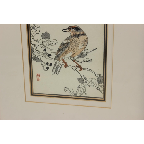 481 - Believed to by Kono Bairei (1844-1895), a pair of Japanese 19th century woodblock prints of birds an... 