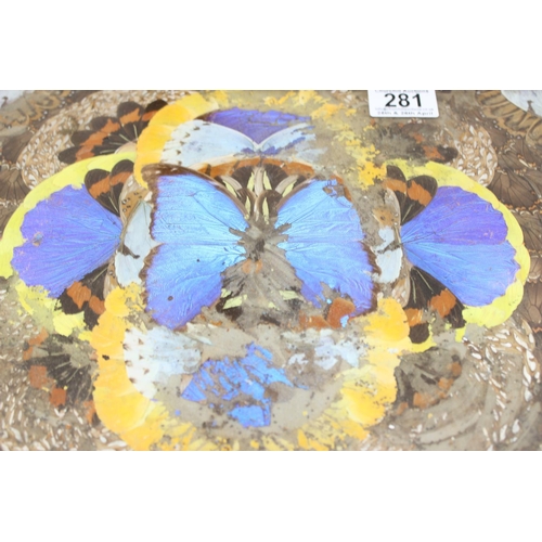 281 - A vintage Brazilian butterfly wing tray c.1930's