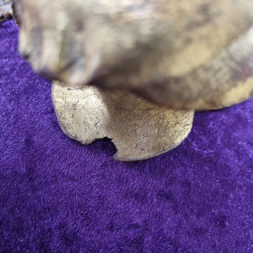 283 - Antique gilt limewood carving of a bird amongst foliage, likely 19th century