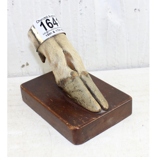 1641 - Mounted Deer foot paper weight with white metal mount