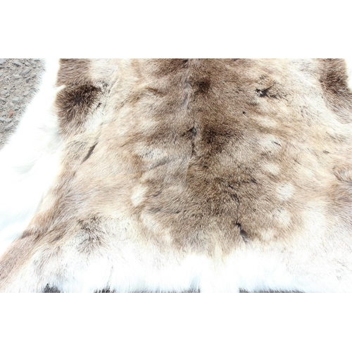 207 - Reindeer skin rug