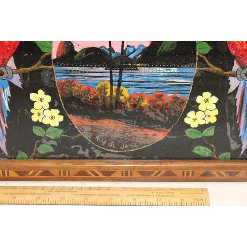 296 - An early 20th century Brazilian butterfly wing tray decorated with parrots