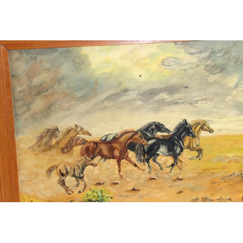 481 - Oil on canvas of wild horses at gallop, initialled EHP, mid 20th century