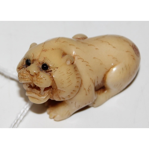 1610a - A Japanese carved figure of a lion, bearing signature to reverse, believed to be a Tagua nut, on woo... 