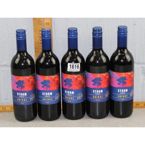 1616 - 5 bottles of Storm Tree Shiraz 2020 red wine, 75cl bottles