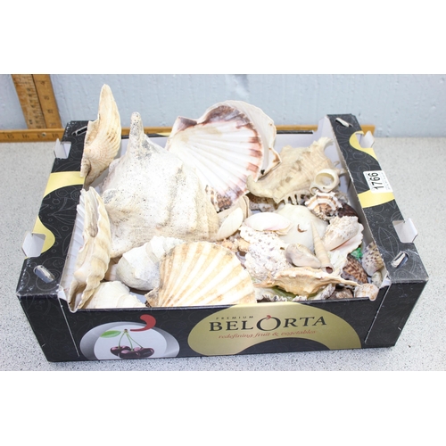 1766 - Box of vintage seashells, some of large proportions