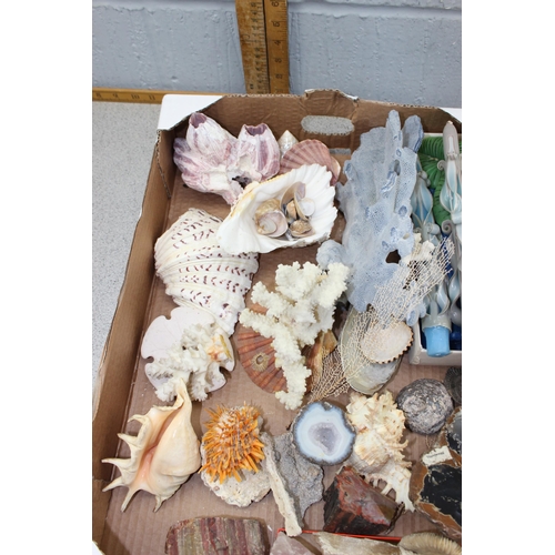 1831 - Mixed lot to include geodes, shells and candles