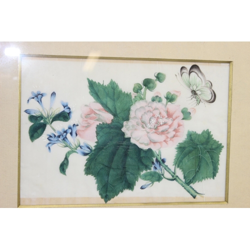 453 - A pair of framed and mounted late 19th century Chinese pith/rice paper gouache paintings depicting f... 