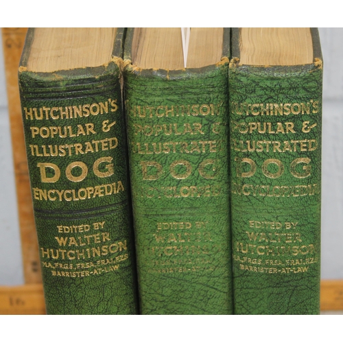 560 - Hutchinson's Popular & Illustrated Dog Encyclopaedia, 3 volumes