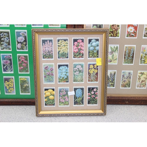 455 - 4 framed floral Wills cigarette card displays