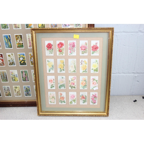 455 - 4 framed floral Wills cigarette card displays