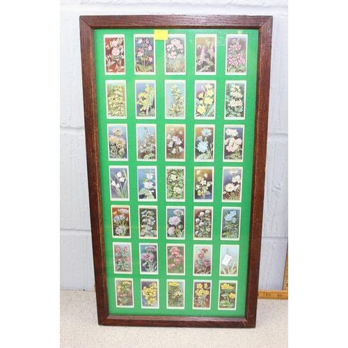 455 - 4 framed floral Wills cigarette card displays